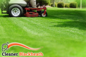 grass-cutting-blackheath